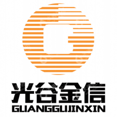 光谷金信（武汉）科技有限公司