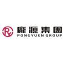 深圳市庞源投资集团有限公司