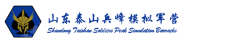 山东泰山兵峰模拟军营文化有限公司