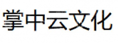杭州掌中云文化传媒有限公司