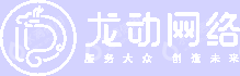 深圳龙动网络有限公司
