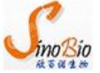 上海欣百诺生物科技有限公司