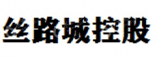 陕西丝路城控股集团有限公司