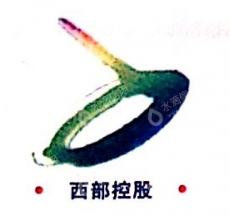 西发（北京）投资有限公司