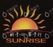 上海爱维斯因私出入境服务有限公司