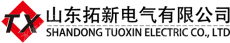 山东拓新电气有限公司
