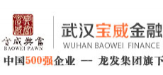 武汉宝威典当有限公司