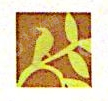 中民华龄城镇化投资发展股份公司