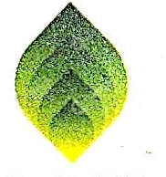 美中能源有限公司