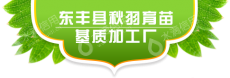 东丰县秋羽育苗基质加工厂