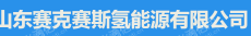 山东赛克赛斯氢能源有限公司