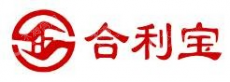 广州合利宝支付科技有限公司