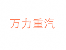 万力重汽股份有限公司