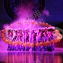 海盐县大剧院文化传媒有限公司