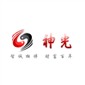 山东神光咨询服务有限责任公司