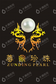 广东尊鼎珍珠有限公司