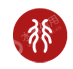 宝元融资租赁（上海）有限公司