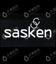 萨斯肯通讯技术（上海）有限公司