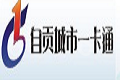 自贡盐都一卡通信息化有限责任公司