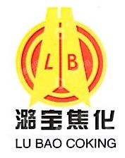 山西金鼎潞宝能源科技有限公司