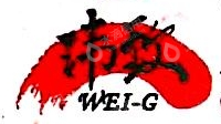 上海玮致国际贸易有限公司