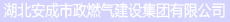 湖北安成城市建设发展集团有限公司