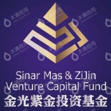 南京金光紫金创业投资管理有限公司
