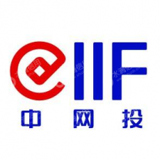 中国互联网投资基金管理有限公司