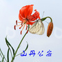 山丹县公安局