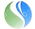山东盛华电子新材料有限公司