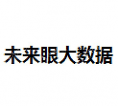 重庆未来眼大数据产业发展有限公司