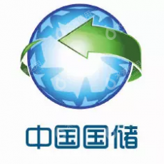 中国国储能源化工集团股份公司