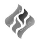 新疆华油技术服务股份有限公司