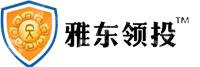 哈尔滨雅东投融网络科技有限公司
