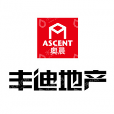 汕头市丰迪房地产开发有限公司
