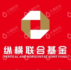 海南纵横联合科技发展集团有限公司