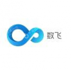 山东数飞信息科技有限公司