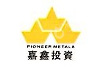 嘉鑫投资有限公司