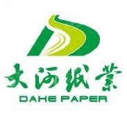 大河纸业有限公司