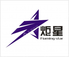 宁波炬星风云文化传媒有限公司