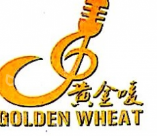 成都鼎仁投资有限责任公司