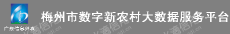 梅州正方网络有限公司
