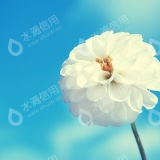 江西普天科技有限公司
