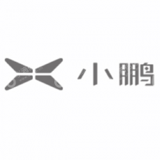 上海小鹏汽车科技有限公司