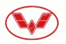 Wuling Motors Holdings Limited