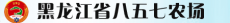 北大荒集团黑龙江八五七农场有限公司