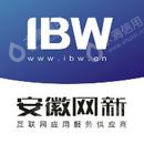 安徽网新网络技术有限公司