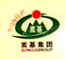 河南嵩基售电有限公司