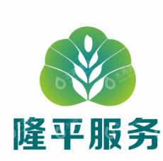 隆平高科信息技术（北京）有限公司