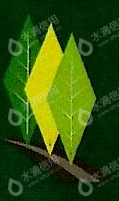 天津市花苗木工程有限公司